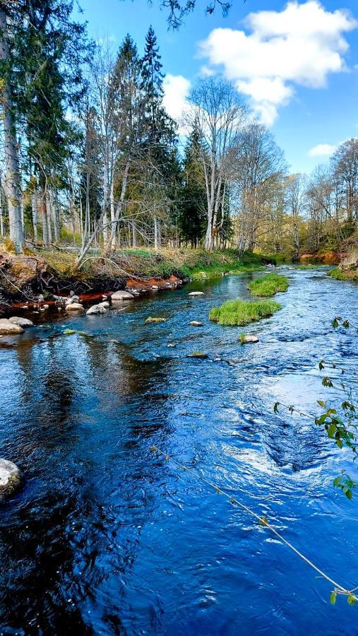 Glamping Dome Tent 'river' Glamping *