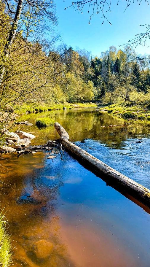 Glamping Glamping Dome Tent 'river' Salacgrīva